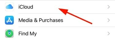 Tap on iCloud option in Settings